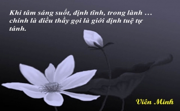 Thầy Tỳ-Kheo bỏ đạo